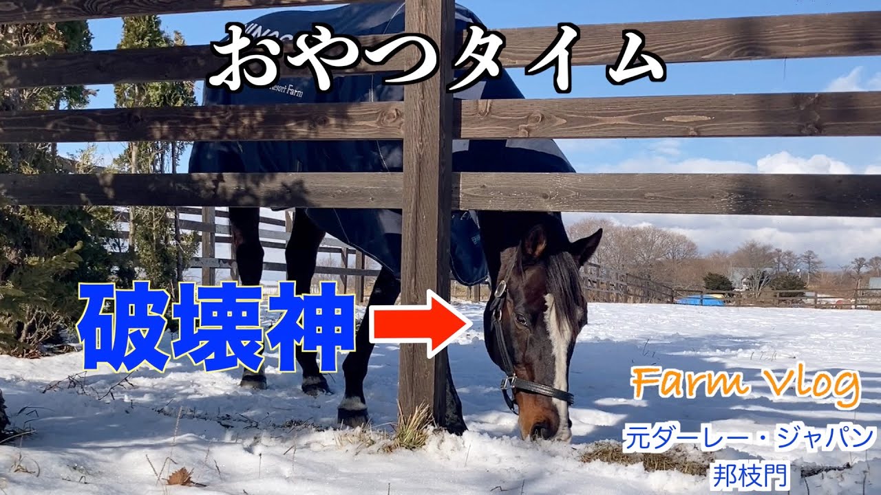 破壊神【タニノギムレット】おやつタイム！？52選
