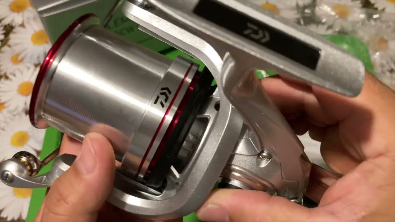 DAIWA EMBLEM SURF 45 SCW QD