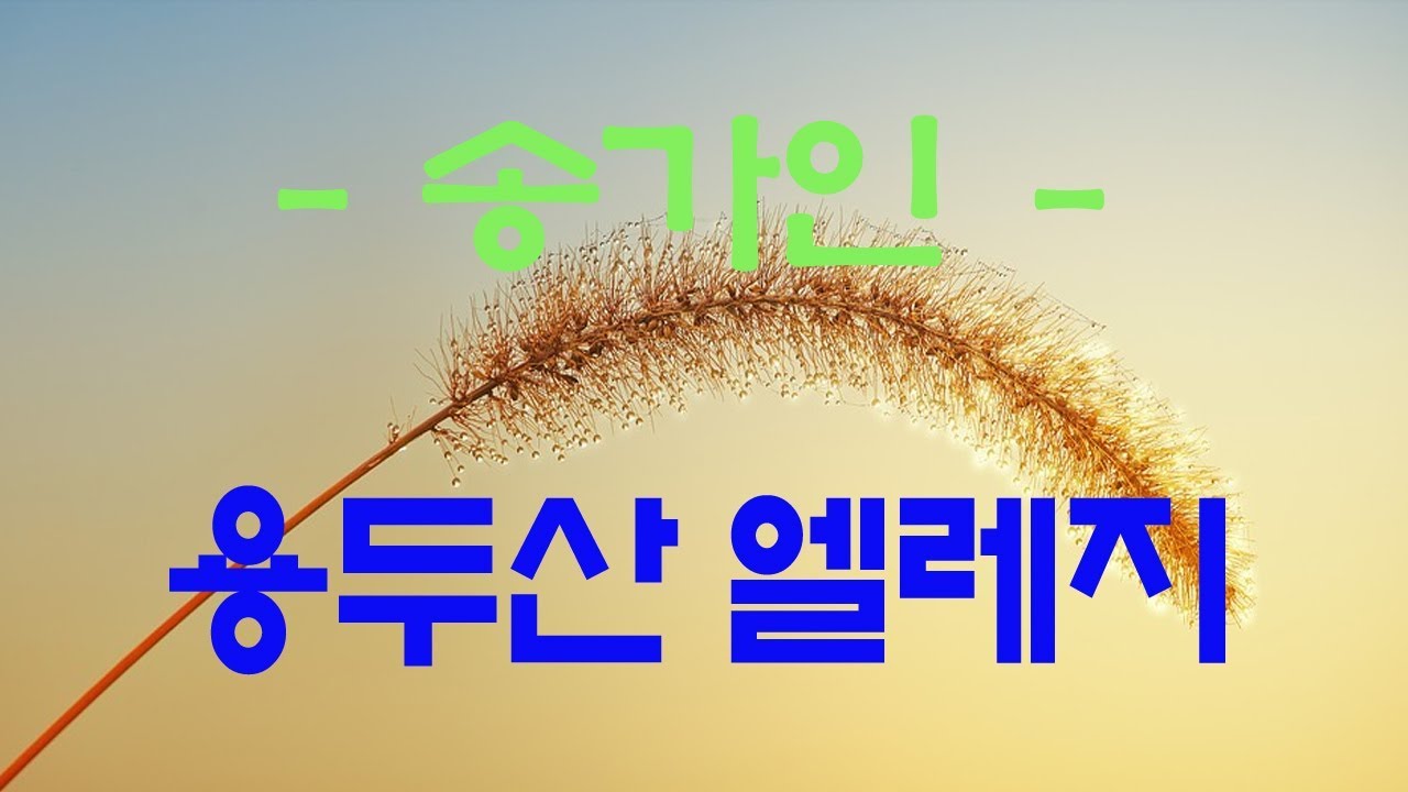 가요, 송가인 - 용두산 엘레지 , 미스트롯 , 가사첨부, 반복듣기,  국내가요, 한국가요, 7080,   발라드, 韓国の歌, KPOP,