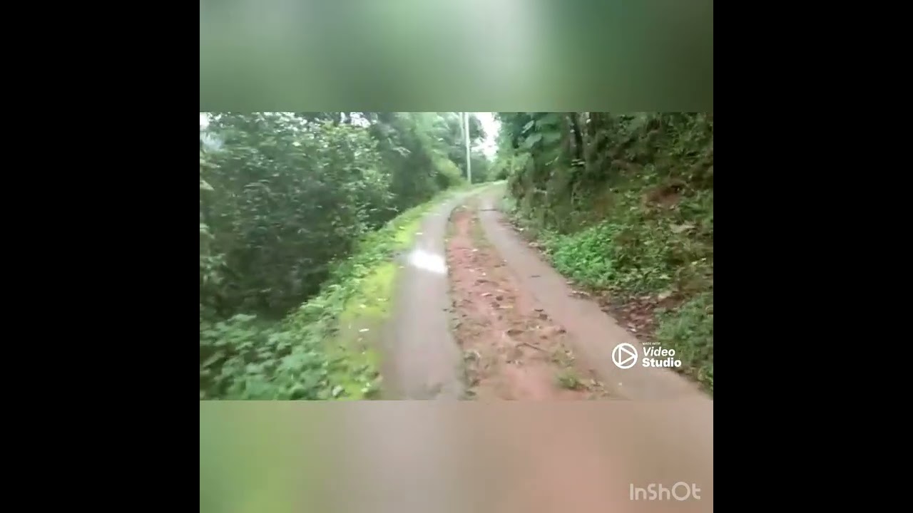 Wayanad ,Old Vythiri 50 Cent Land