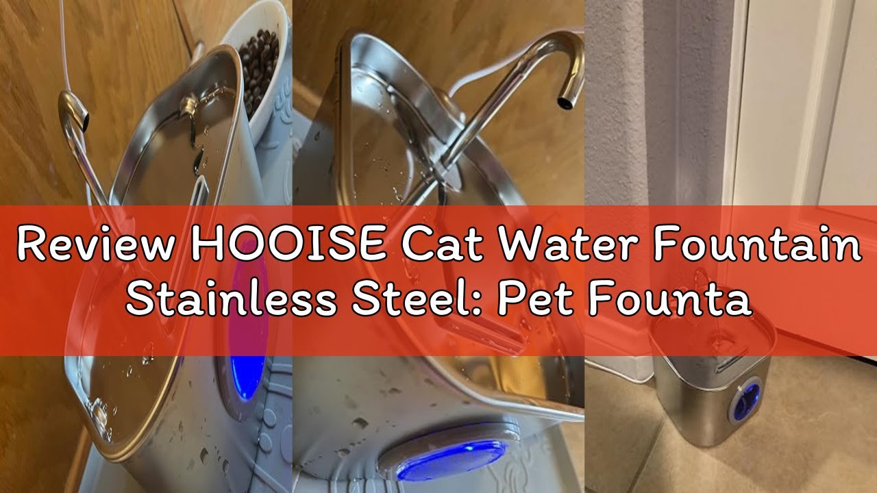 Review HOOISE Cat Water Fountain Stainless Steel: Pet Fountains for Cats/Dog Indoor Automatic Watere