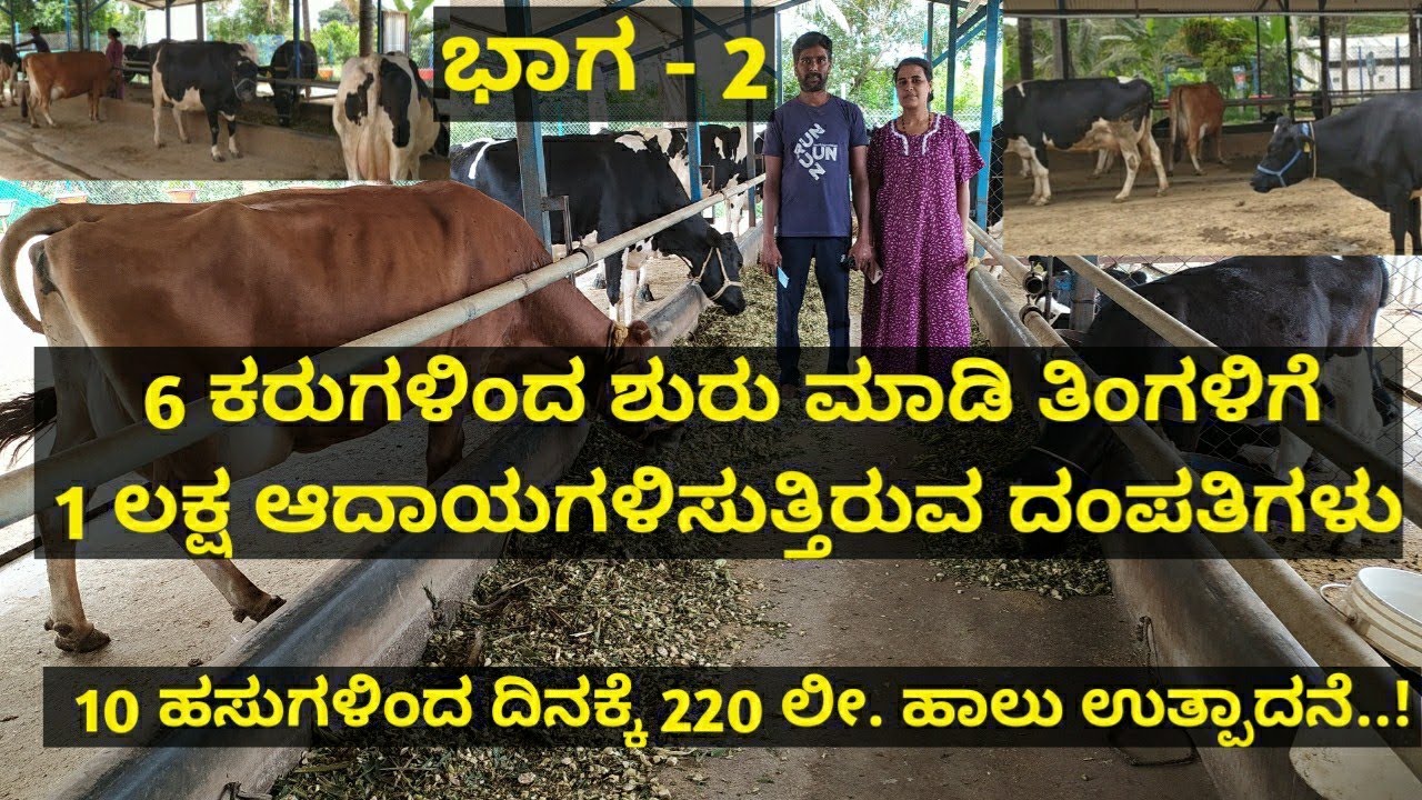 ಹೈನುಗಾರಿಕೆಯಲ್ಲಿ ತಿಂಗಳಿಗೆ ಒಂದು ಲಕ್ಷ ಆದಾಯಗಳಿಸಿ ಬೇರೆಯವರಿಗೆ ಮಾದರಿಯಾದ ಆದರ್ಶ ದಂಪತಿಗಳು