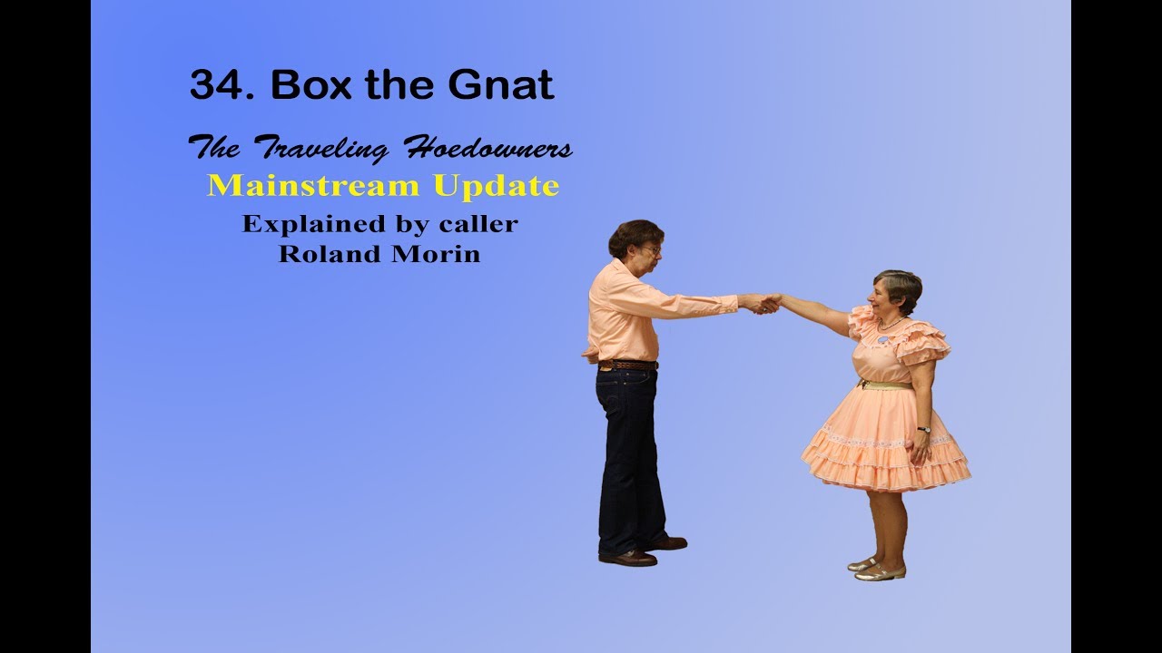 Square Dance Lessons - Box The Gnat by The Traveling Hoedowners