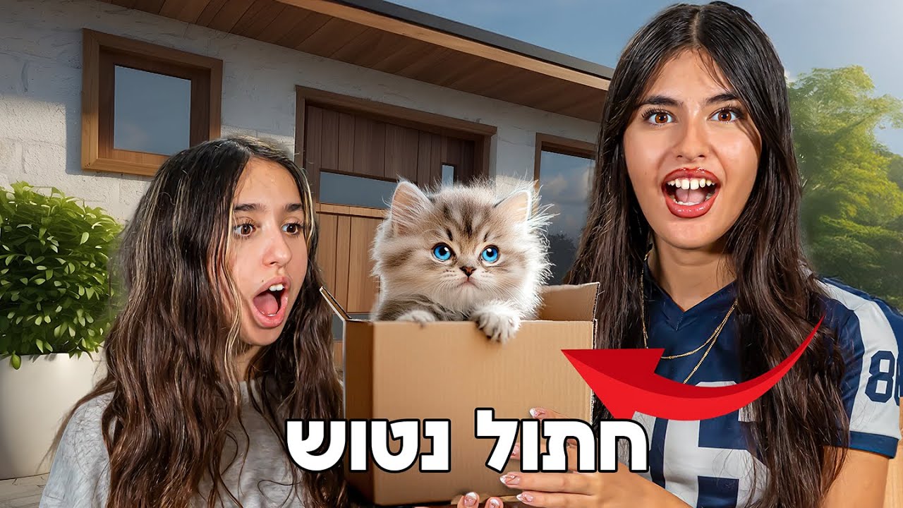 מישהו השאיר גור חתולים נטוש בכניסה לבית שלנו