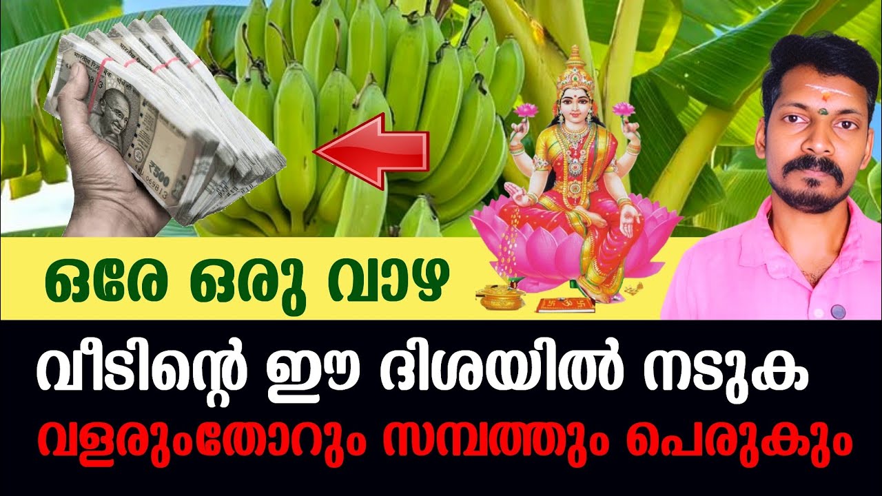 വീടിൻറെ ഈ ഭാഗത്ത് ഒരു വാഴ നടുക. അത് വളരുന്നതിനൊപ്പം സമ്പത്തും തഴച്ചു പെരുകും.
