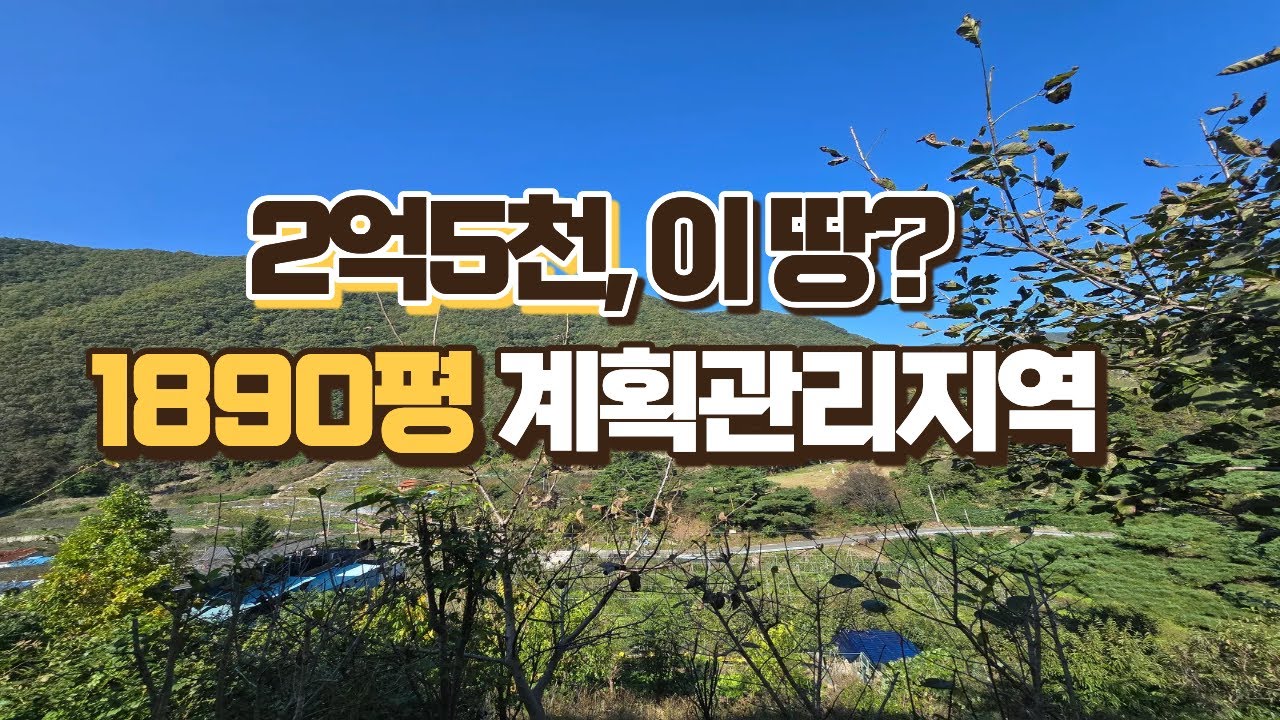 0625. 애지중지하던 이땅 2억5천만원에 드립니다, 1890평. 계획관리지역 #보현산댐 #계획관리지역  #도로접토지 #급매토지 #영천땅  #좋은땅