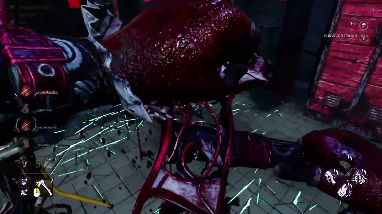 dbd1