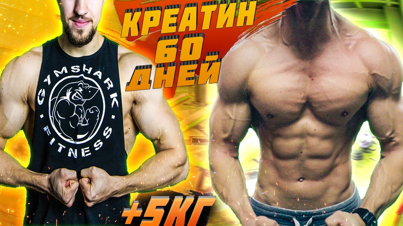ЧТО БУДЕТ ЕСЛИ ПИТЬ КРЕАТИН 60 ДНЕЙ. РЕЗУЛЬТАТ МОЕЙ ТРАНСФОРМАЦИИ! КАК ПРИНИМАТЬ КРЕАТИН? +5 кг