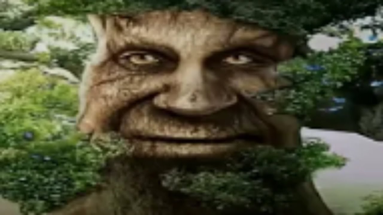 Wise Mystical Tree Meme