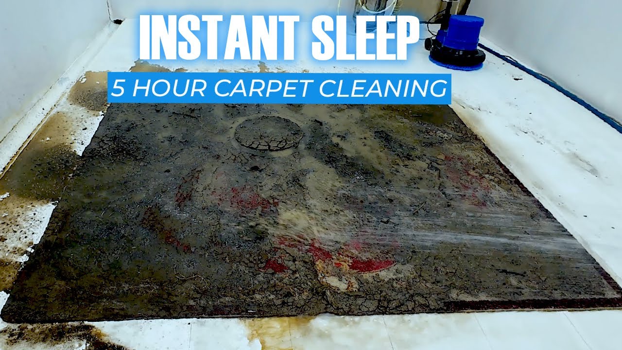Carpet Cleaning for Sleep: Carpet Cleaning ASMR Sounds Will Make You Sleep Surprisingly Well