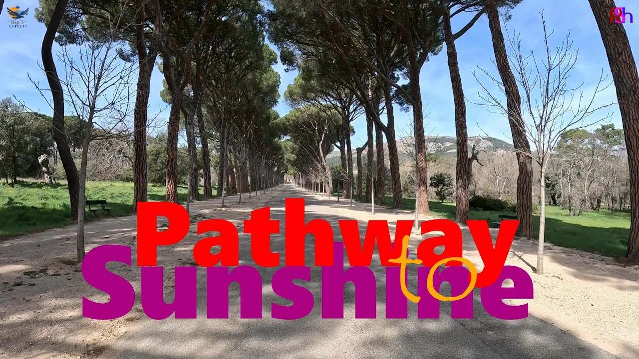 Pathway of Sunshine