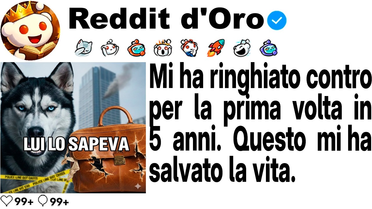 [STORIA COMPLETA] Mi ha ringhiato contro per la prima volta in 5 anni. Questo mi ha salvato la vita.