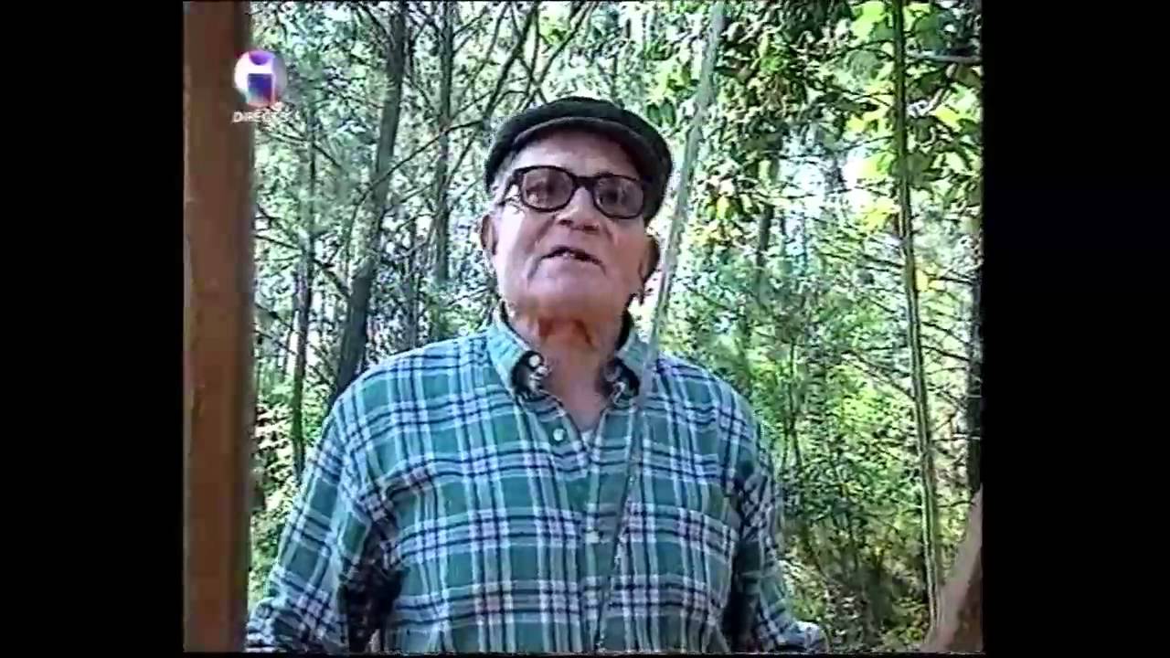 Serradores Amiais