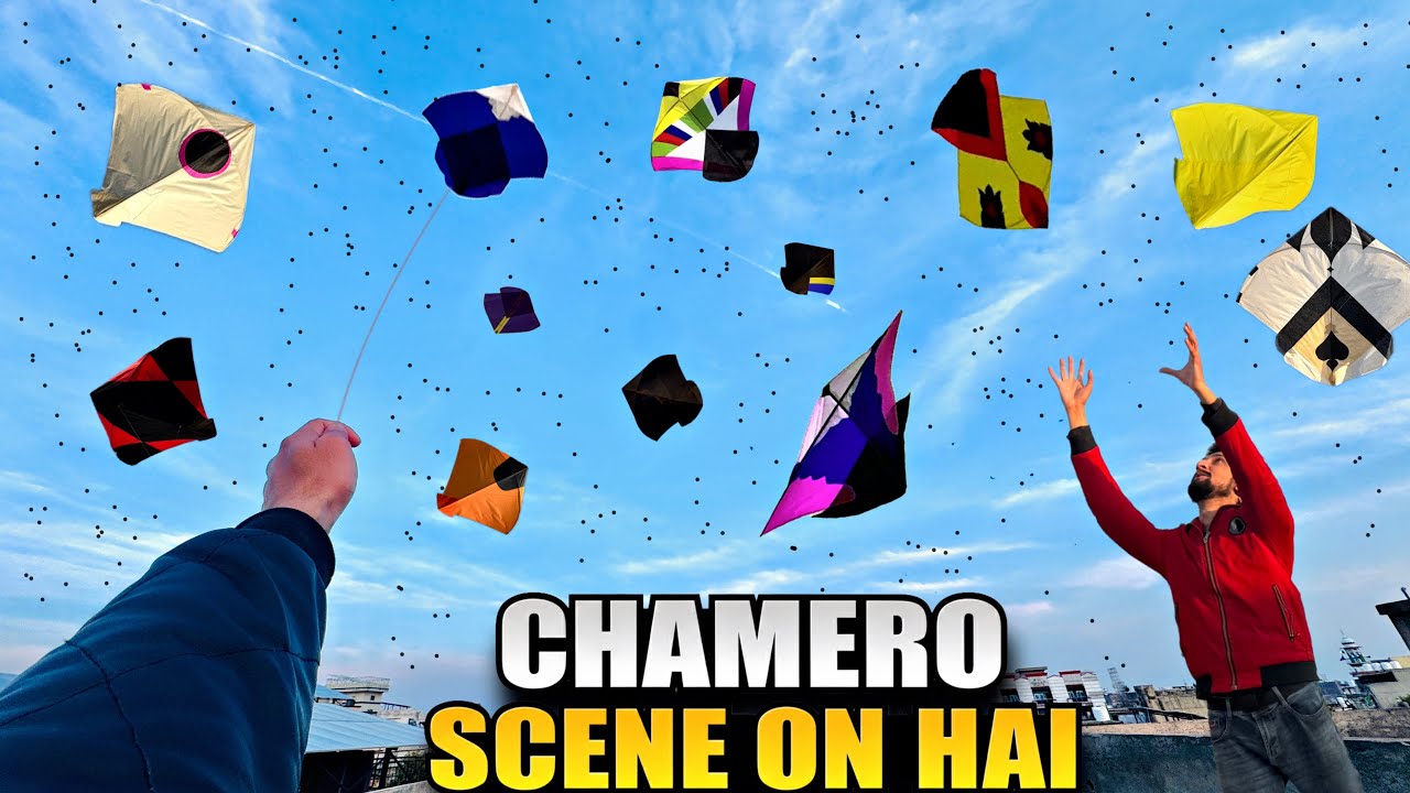 Looting & Rolling Others Kites🤩|| Beautiful Articel kite Flying 🥵|| Toch And Go Waly Paich !
