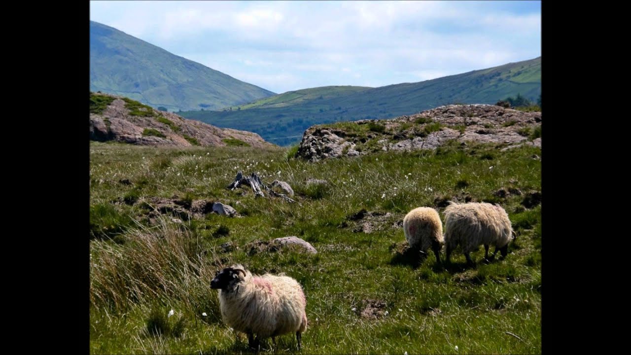 Shepherd Lad - Battlefield Band