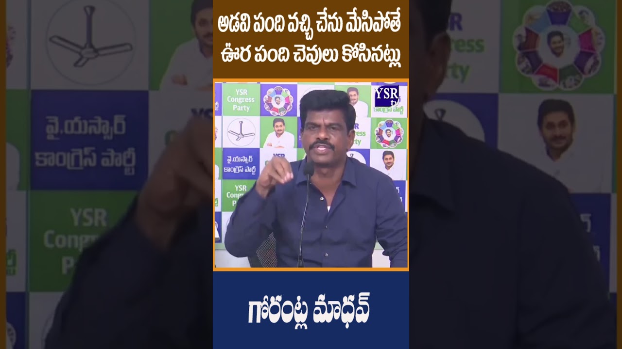 అడవి పంది వచ్చి చేను మేసిపోతే ఊర పంది చెవులు కోసినట్లు..| GORANTLA MADHAVA | @ YSRTV