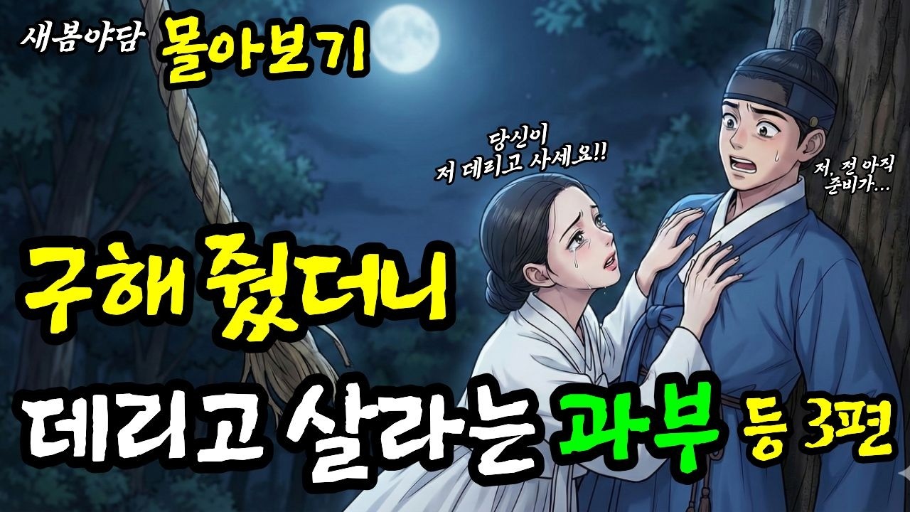 목숨 구해줬더니 난데없이 데리고 살라고 멱살 잡는 과부 등 3편 몰아보 ㅣ 야담·민담·전설·설화·옛날이야기