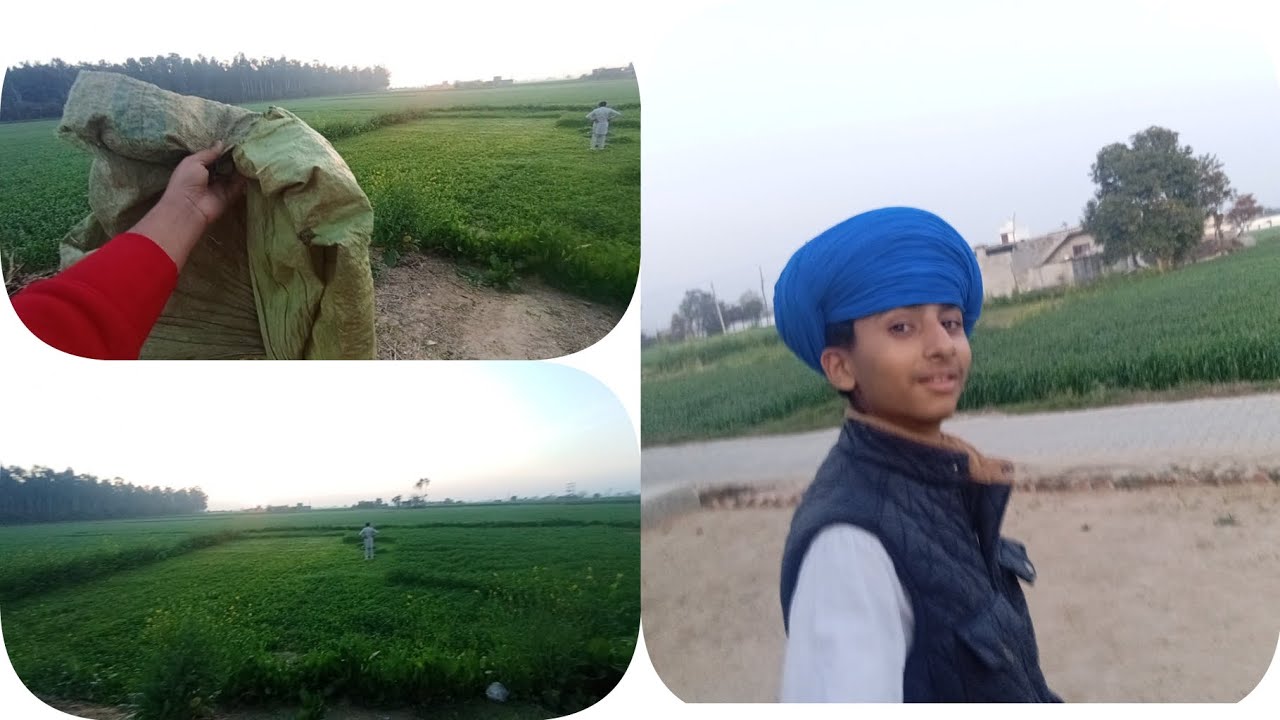 Karta kand bas the 😂 YouTube subscribe 👈