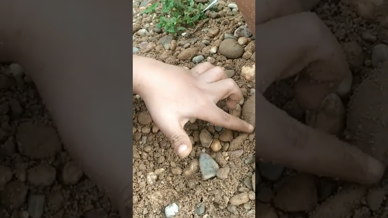 Ada SESUATU didalam tumpukan batu... 😵😵😵