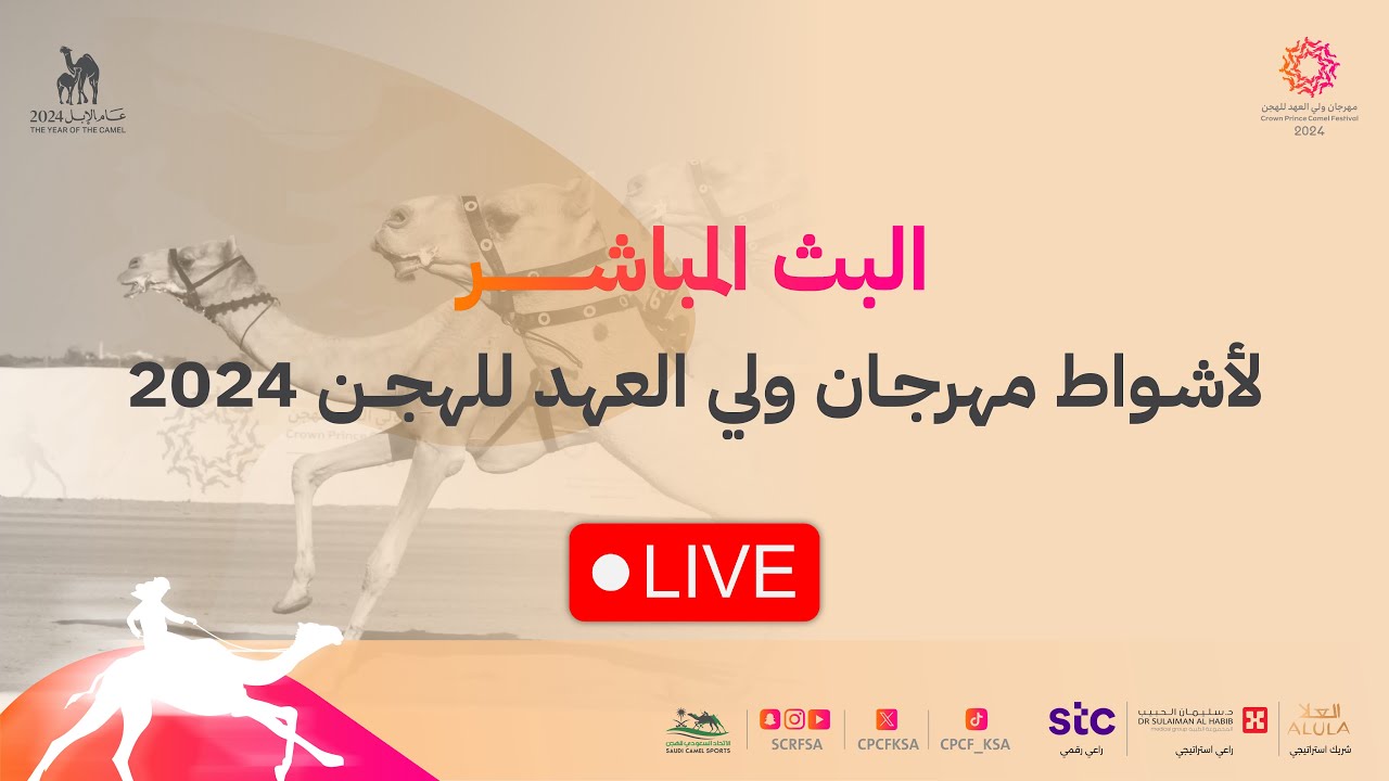 🖥️ استديو #خط_النهاية، أشواط الفترة المسائية ضمن منافسات.#مهرجان_ولي_العهد_للهجن 2024