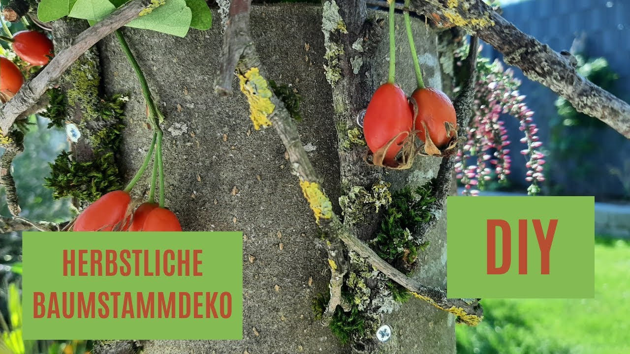 DIY - SUPERSCHÖNE HERBSTDEKO für den Außenbereich | Basisdeko für jede Jahreszeit