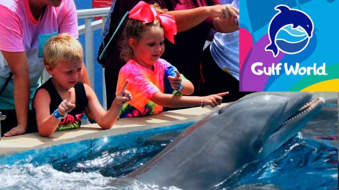 Panama City Beach: Gulf World- Meeting Dolphins, Sting Rays and more!