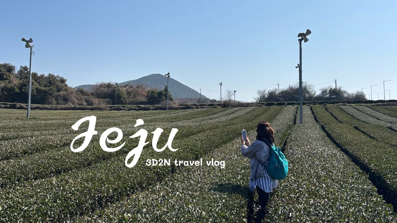Jeju Adventures 🌿 Climbing Hallasan, Jeju’s Biggest Bakery Cafe & Exploring Waterfalls