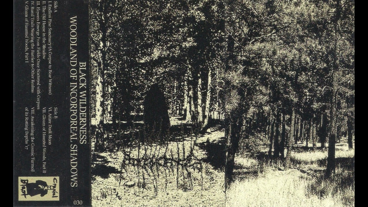 Black Wilderness (US) - Woodland of Incorporeal Shadows (Album 2025)