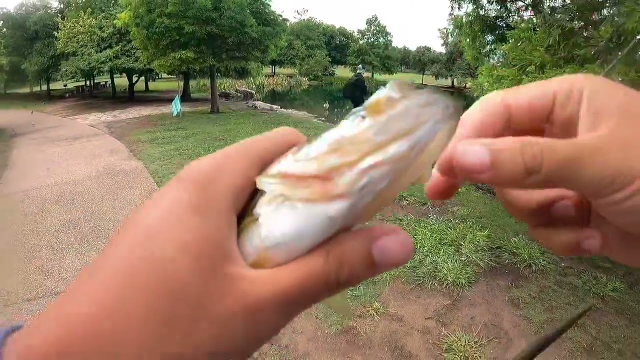 Urban Bass Fishing Pt2- Blond amateur destroyed by Asian man with big rod (Austin TX)