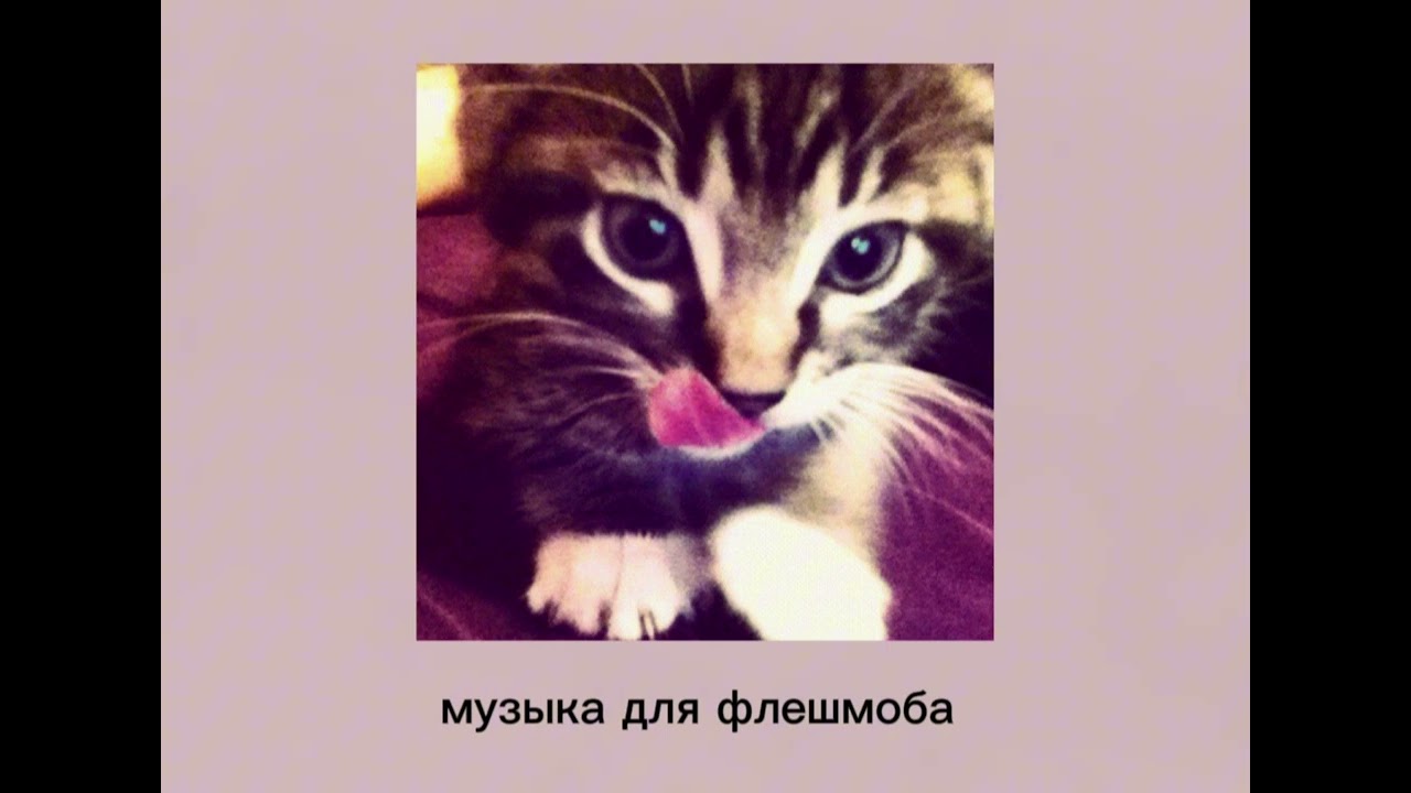 музыка для флешмоба