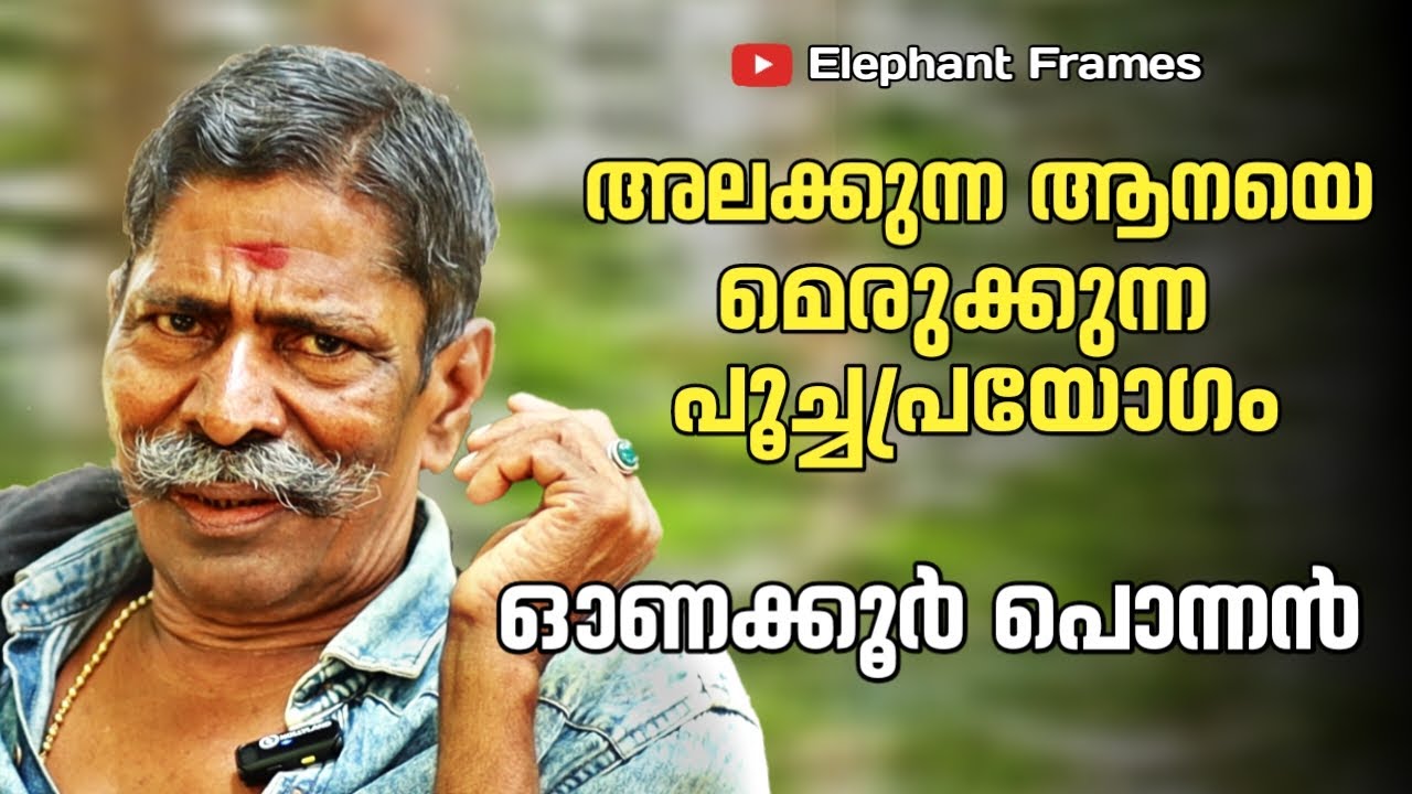 ആനയെ എറിഞ്ഞു വീഴ്ത്തുന്ന ആനപ്പണി | Onakkoor Ponnan | Elephant Frames| PART 24