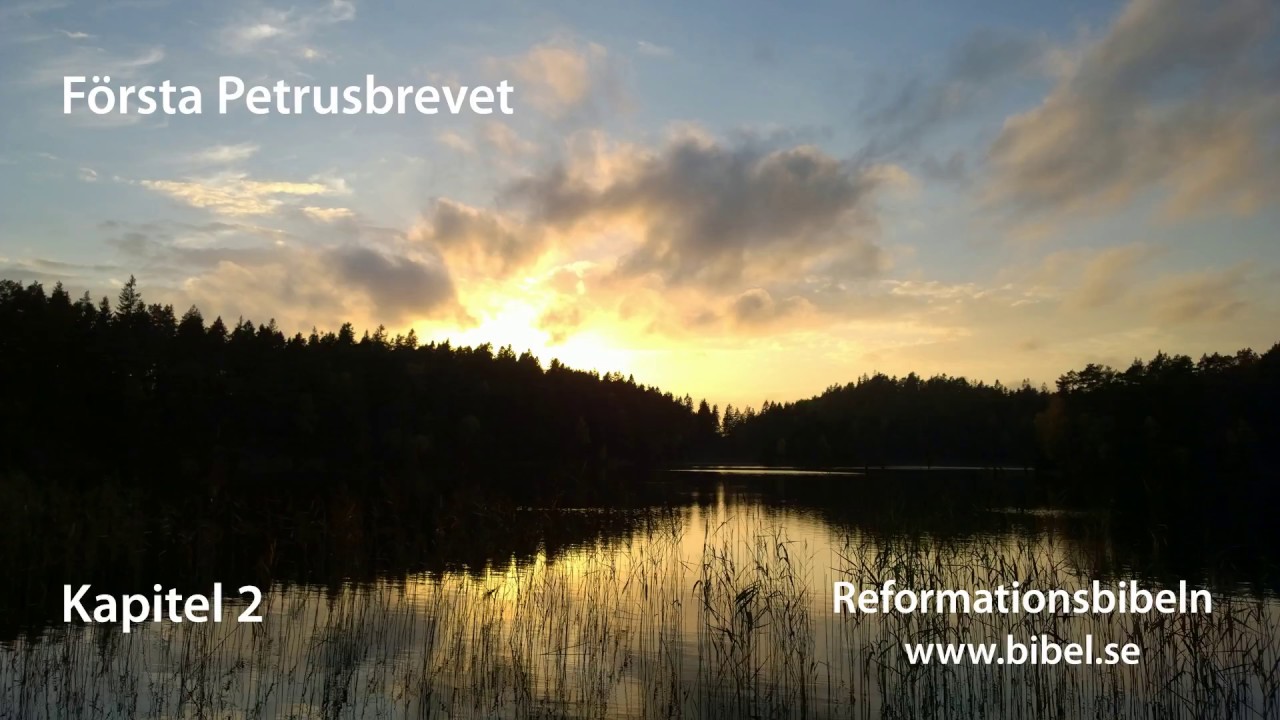 F&ouml;rsta Petrusbrevet | Reformationsbibeln | NT | Bibeln | Bibel | Ljudbok | ljudbibel