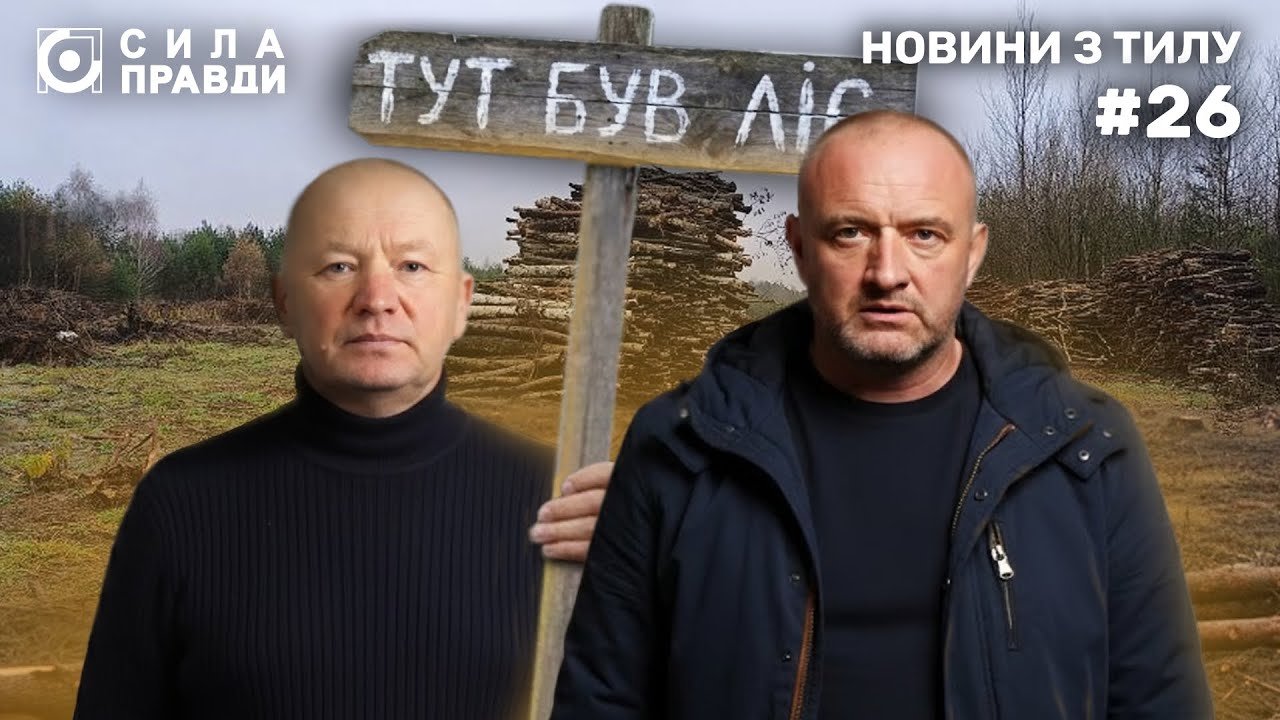 Загублений ліс: як і кому сільрада на Волині роздала 50 гектарів держлісфонду