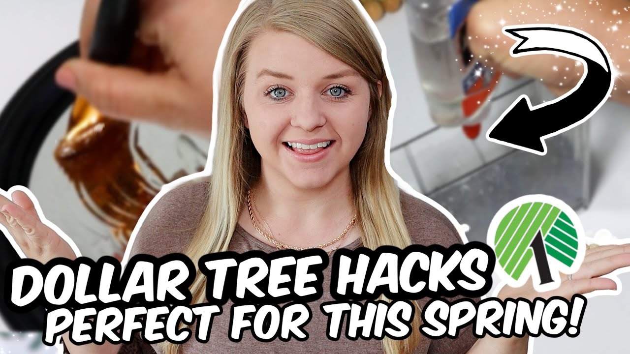 Genius Dollar Tree Spring Decor That Actually Looks High End!