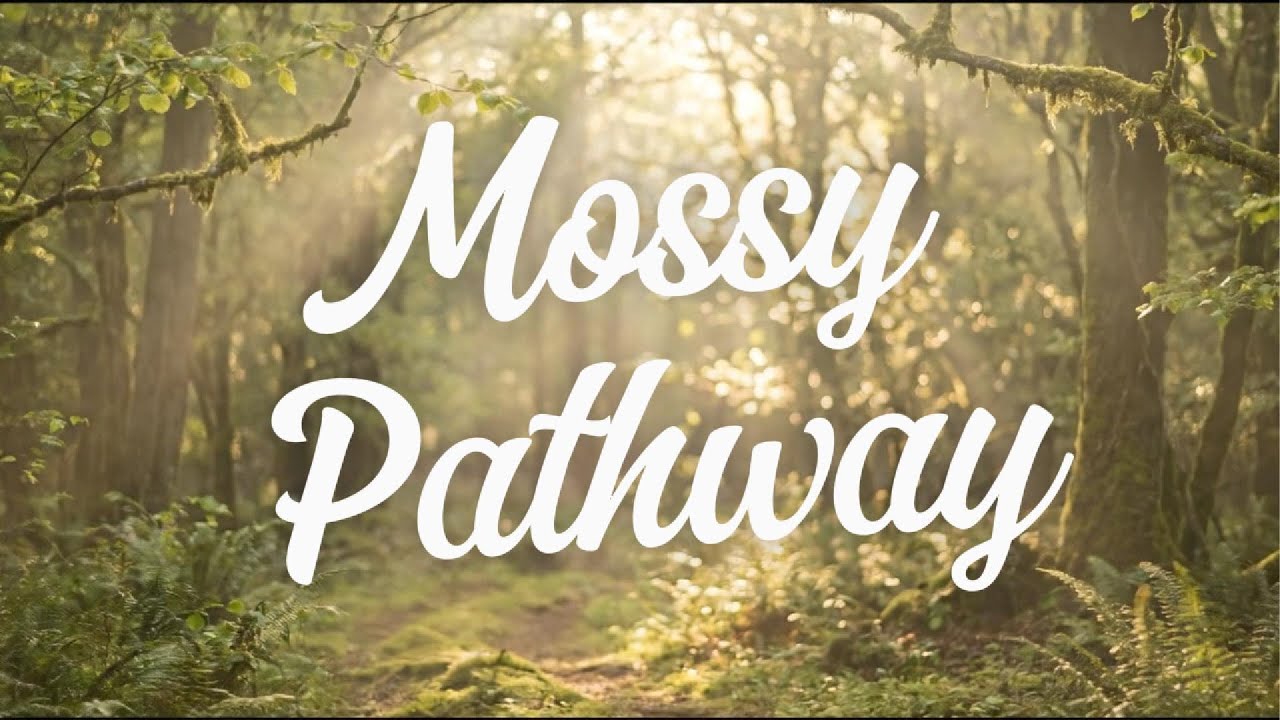 Mossy Pathway | Vibrant Forest Ambient • Deep Focus & Journaling