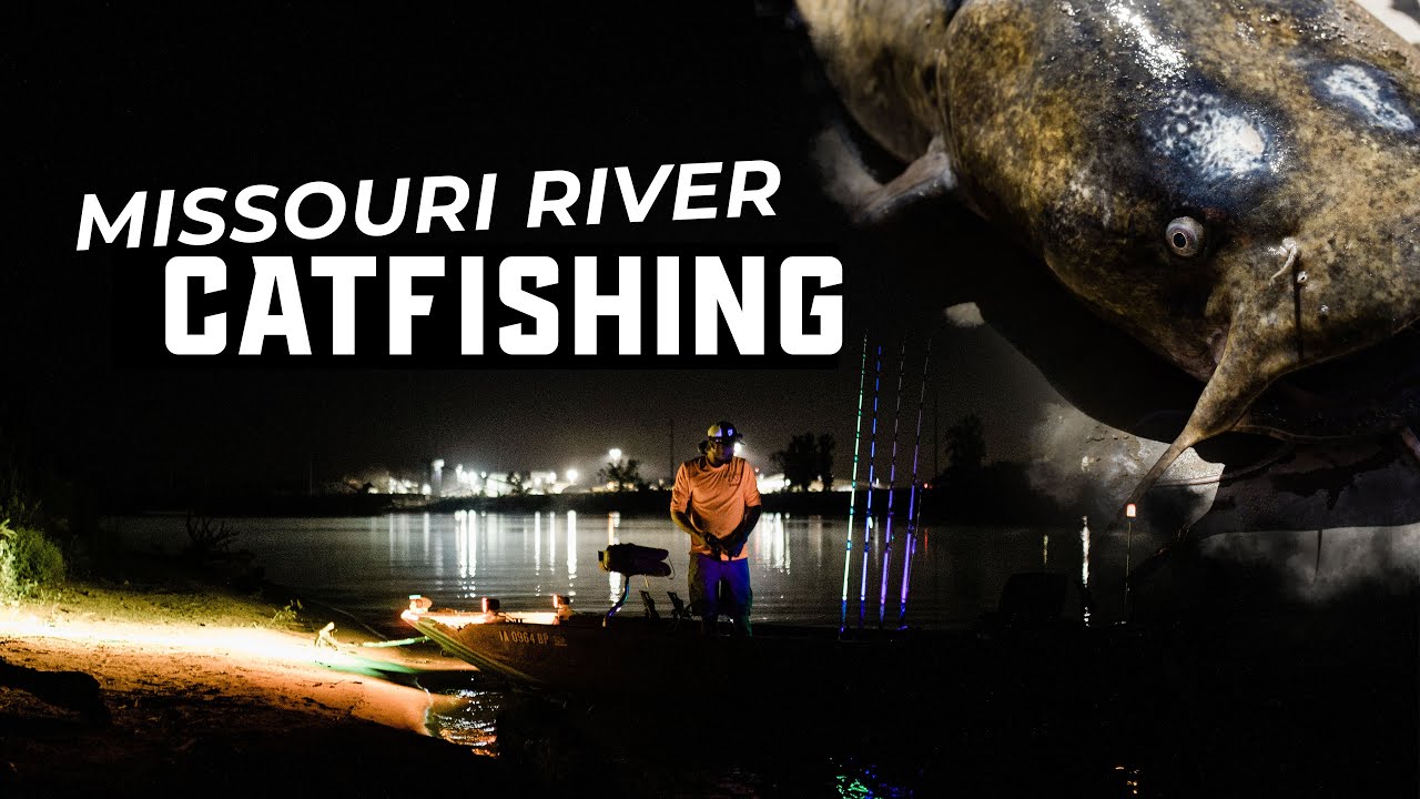 CHASING Missouri River MONSTER CATFISH (Flatheads/Blues)