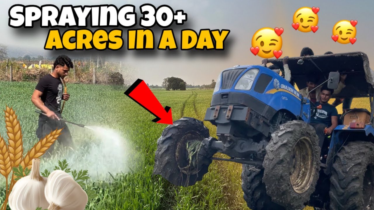 Spraying Wheat 🌾& Garlic 🧄 