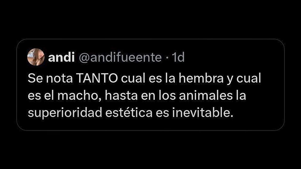 MEMES PARA LLORAR DE RISA #3
