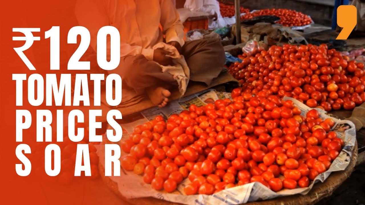 Tomato prices: What is the ground reality? | Business News Today | News9