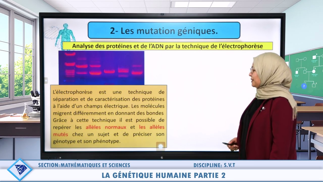 Section Mathématiques et sciences -  SVT - La génétique humaine partie 2