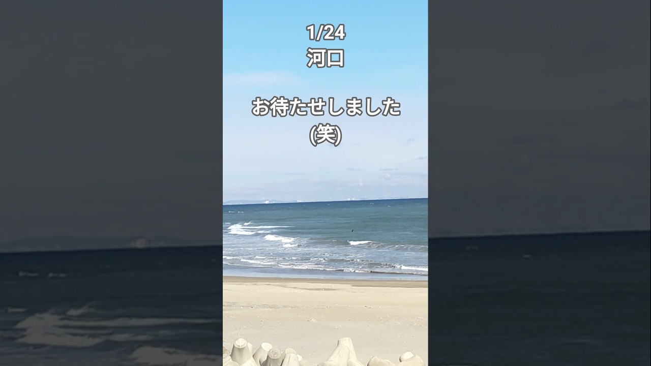 北風強くて寒い中入らなくてもって諦めました 
