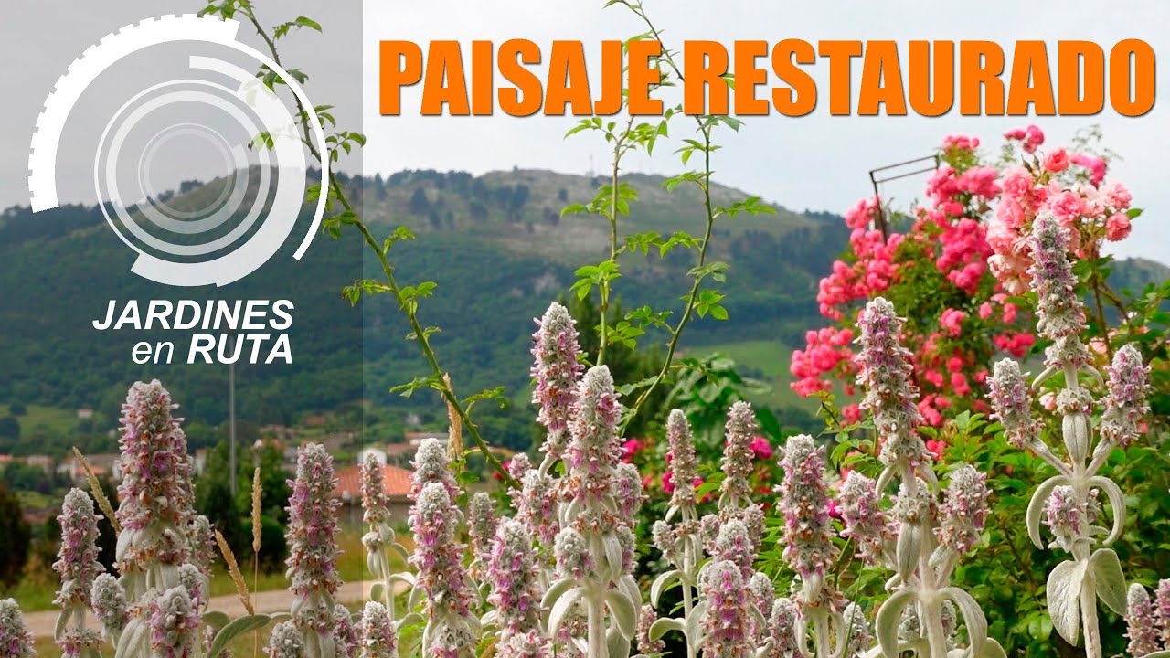Visito la COLECCIÓN BOTÁNICA del CIFP LA GRANJA, en Cantabria [JARDINES en RUTA #15]