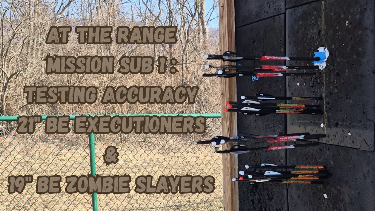 At the range: Mission Sub 1 with BEE arrows and BE ZS arrows