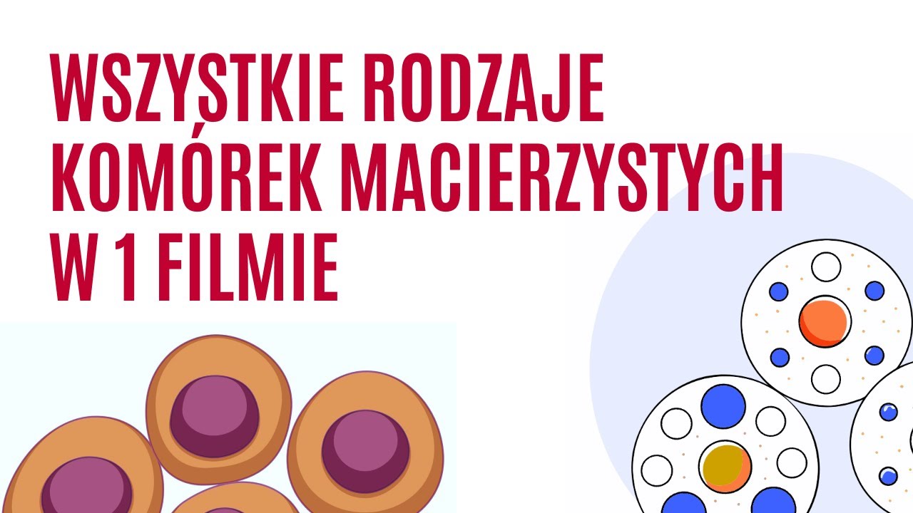 Wszystkie typy komórek macierzystych — wyjaśnione | Realne zastosowania w medycynie regeneracyjnej