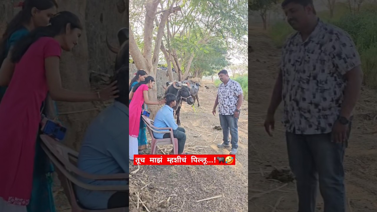 तूच माझं म्हशीचं पिल्लू...!🐃🤯#enzosachin #shorts #trending #funnyvideos #buffalo