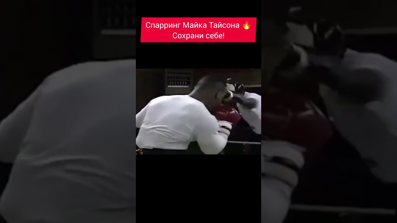 Спарринг Майка Тайсона 🔥 #boxingstar #спарринг #спорт #тайсон  #boxing #tyson #sparring #sparing