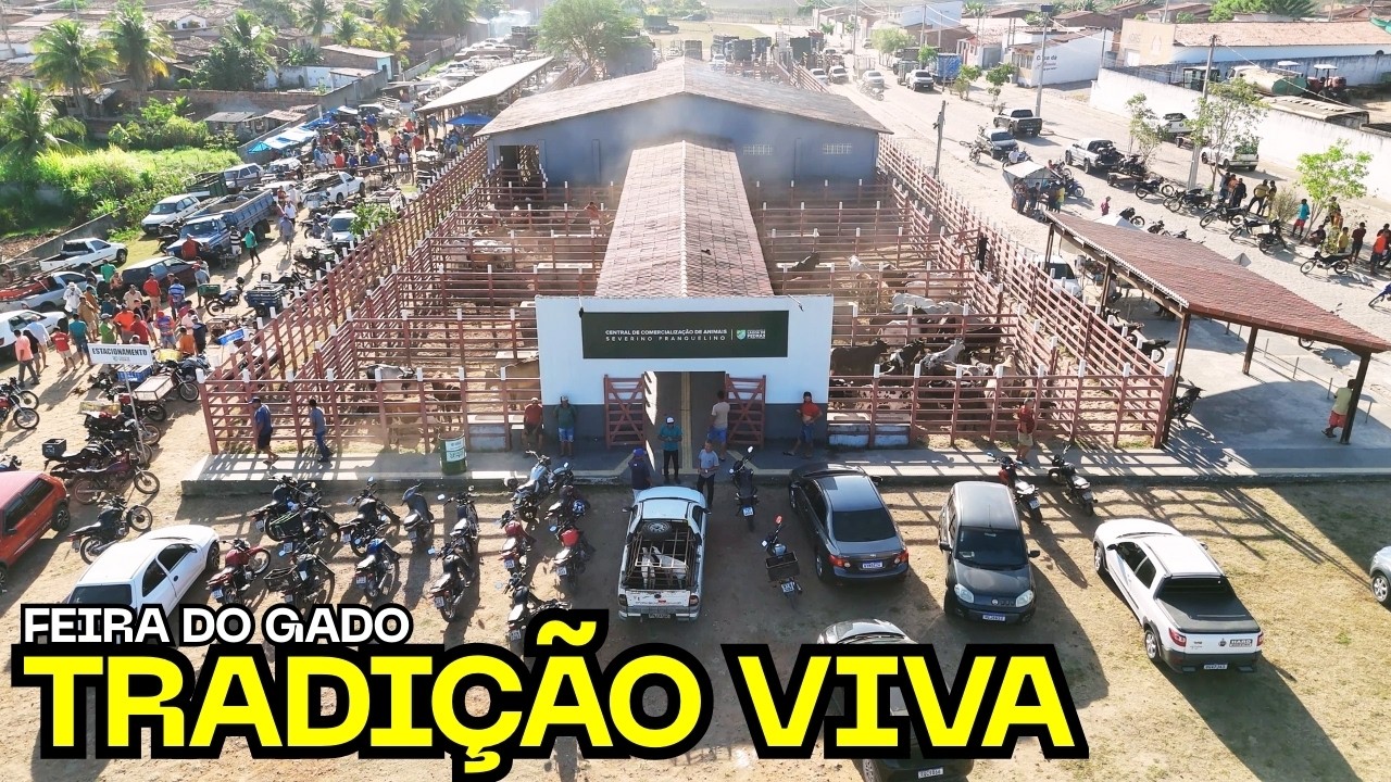 A FEIRA DO GADO QUE MOVE O INTERIOR DO RN - Lagoa de Pedras