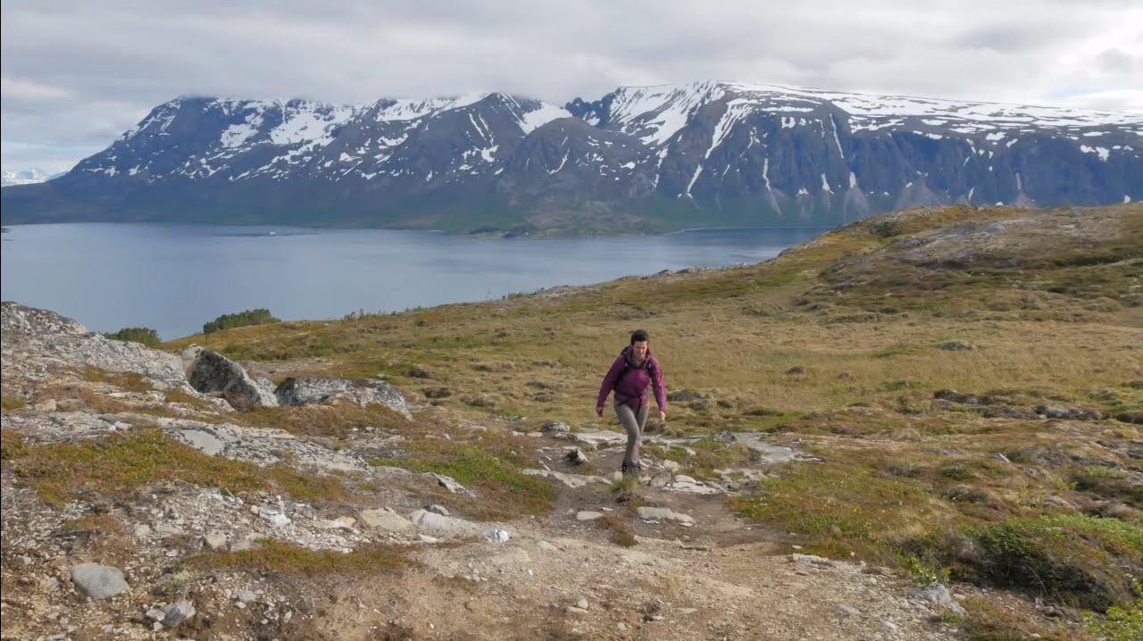 Fjelltur Stangheia 238 moh - (Bjarkøya / Harstad) - 2016.06.11