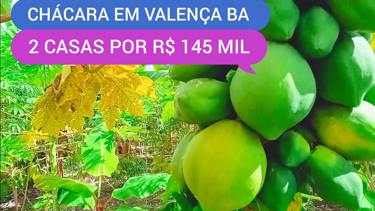 CHÁCARA COM 5 MIL METROS ZONA RURAL DE VALENÇA BA CÓDIGO 0217 ZAP 73981663547