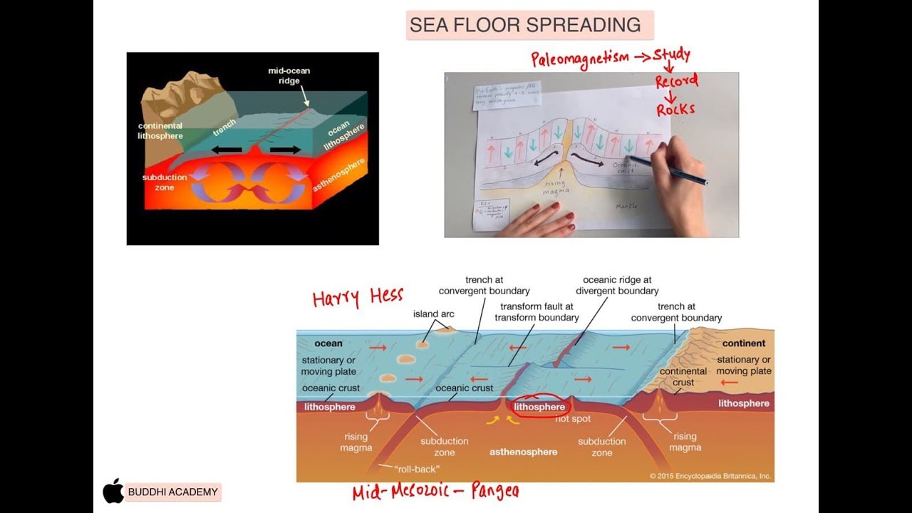 Sea Floor Spreading, Convection Current Theory, Paleomagnetism Explained in Detail